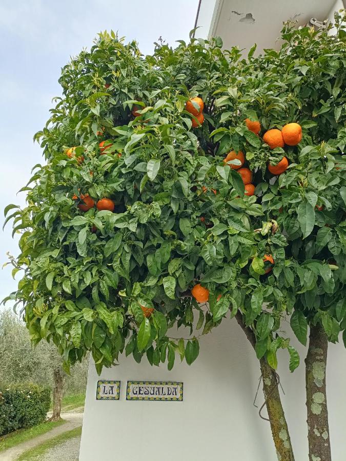 Locazione Turistica La Gesualda Apartman Castelnuovo Magra Kültér fotó