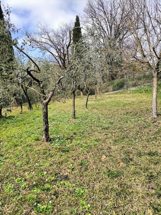 Locazione Turistica La Gesualda Apartman Castelnuovo Magra Kültér fotó